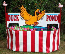 Duck Pond Duck Pond